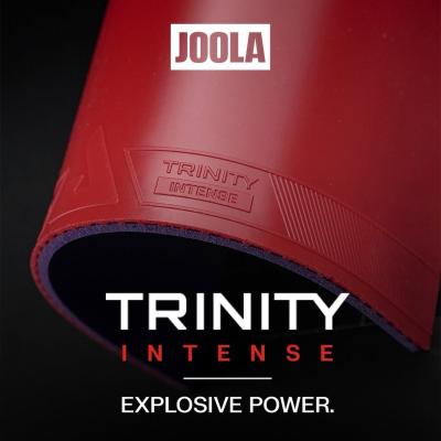 Joola 2
