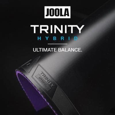 Joola 3